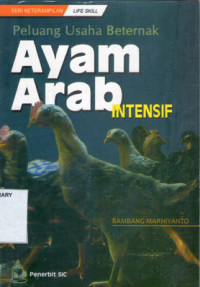 Image of Peluang Usaha Beternak Ayam Arab Intensif
