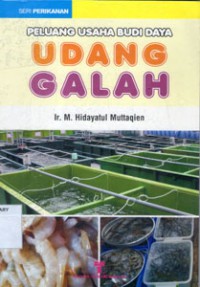 Image of Peluang Usaha Budi Daya UDANG GALAH
