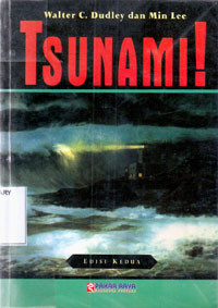 Image of TSUNAMI !